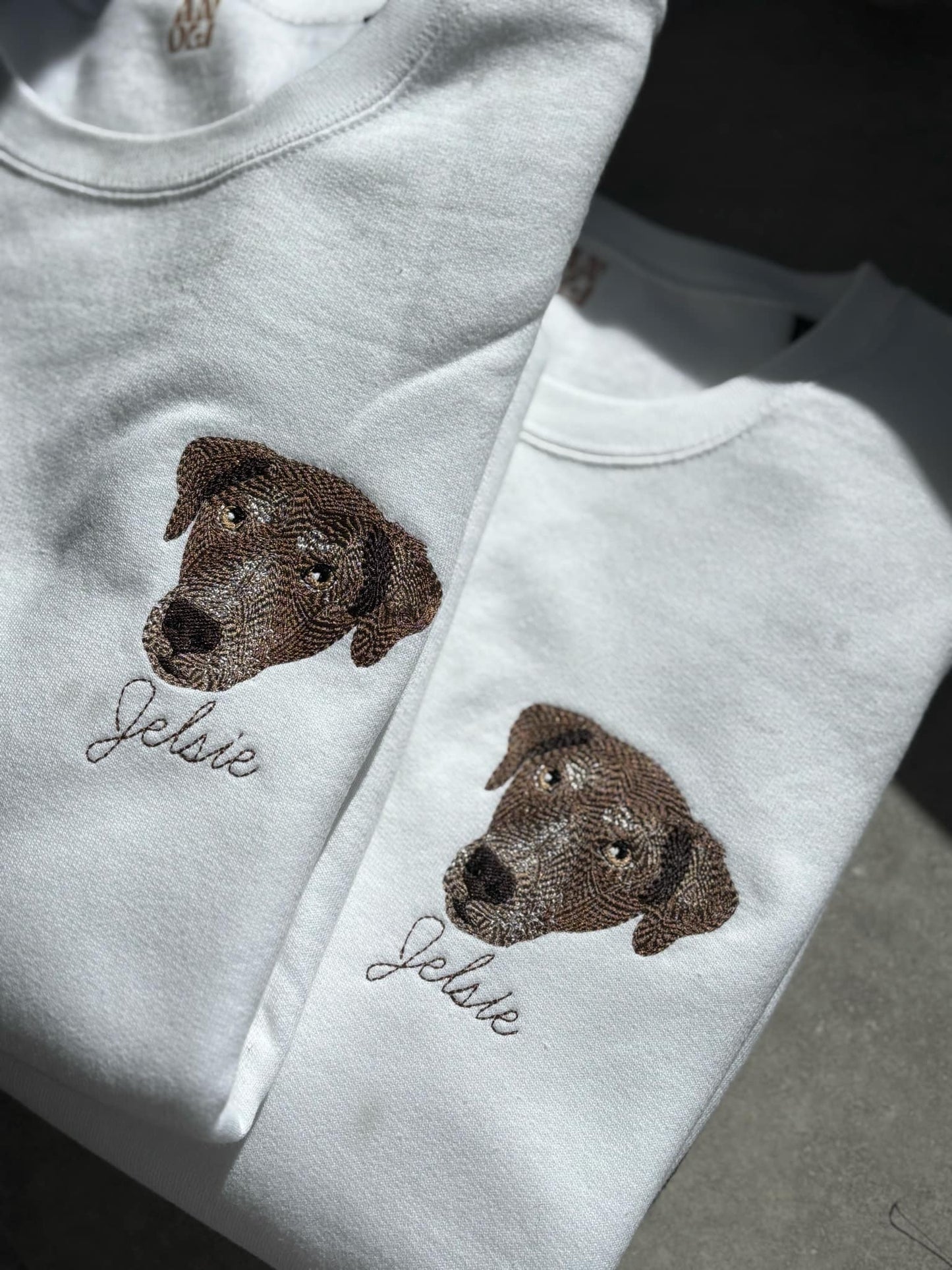 Broderie illustration 2 animaux